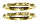 Hidalgo Guard Rings 